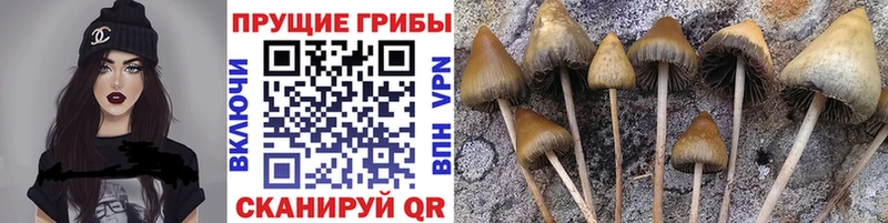 hydra зеркало  Лосино-Петровский  Галлюциногенные грибы прущие грибы 